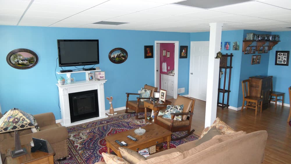 Finished basement with blue walls, fireplace, and wood flooring